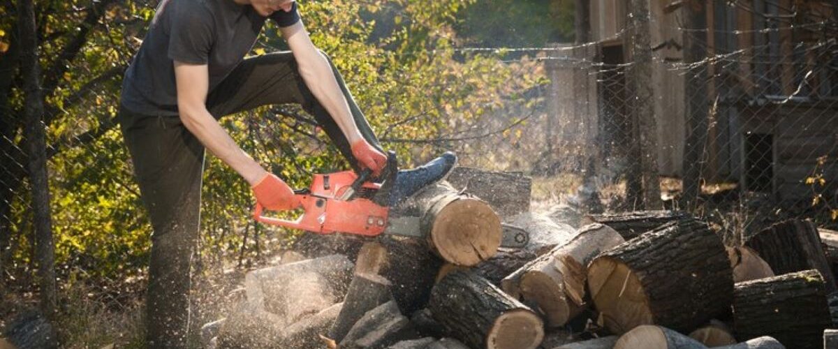 Backyard Stump Grinding