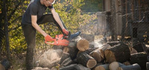 Backyard Stump Grinding