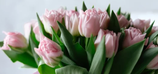 Next-Day Flower Delivery Sydney: Reliable and FreshNext-Day Flower Delivery Sydney: Reliable and Fresh