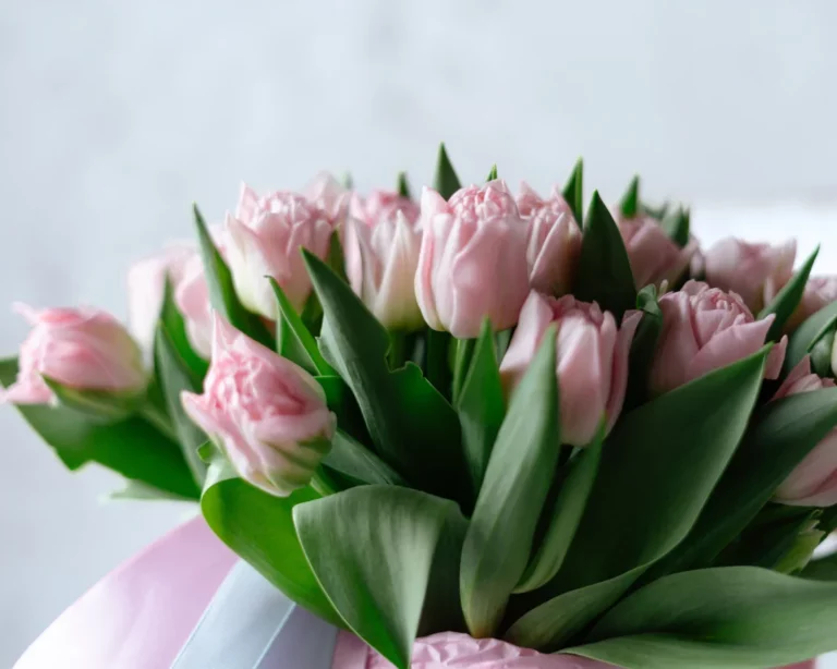 Next-Day Flower Delivery Sydney: Reliable and FreshNext-Day Flower Delivery Sydney: Reliable and Fresh