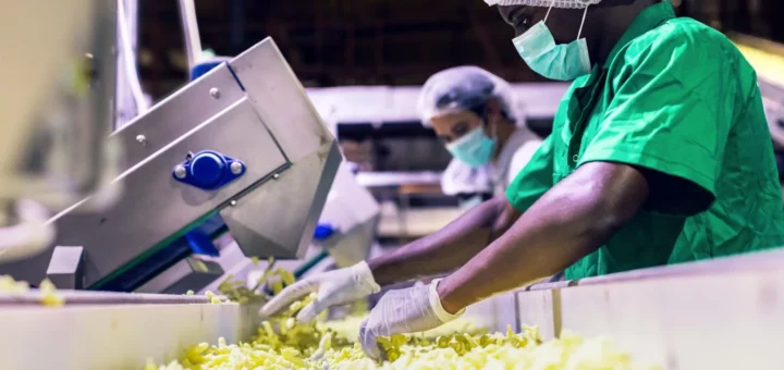 food safety software
