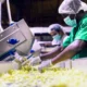 food safety software